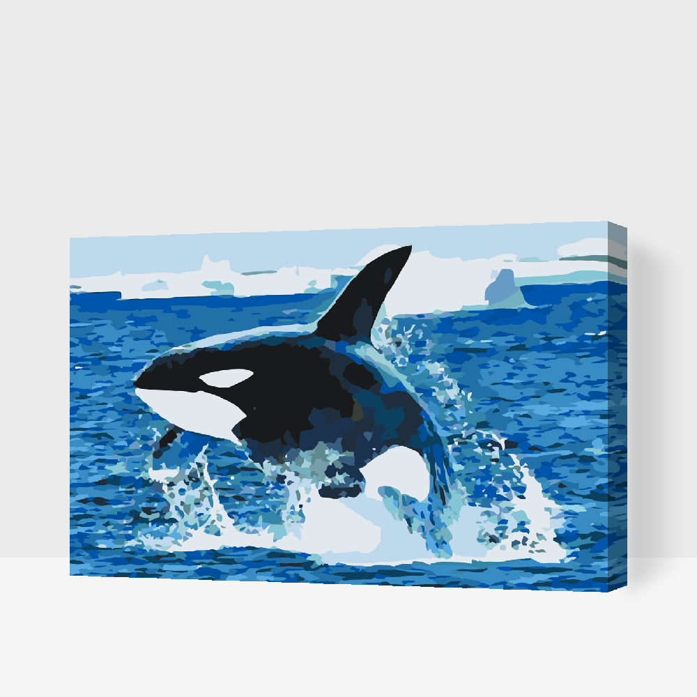 Paint by number - Orca Jump