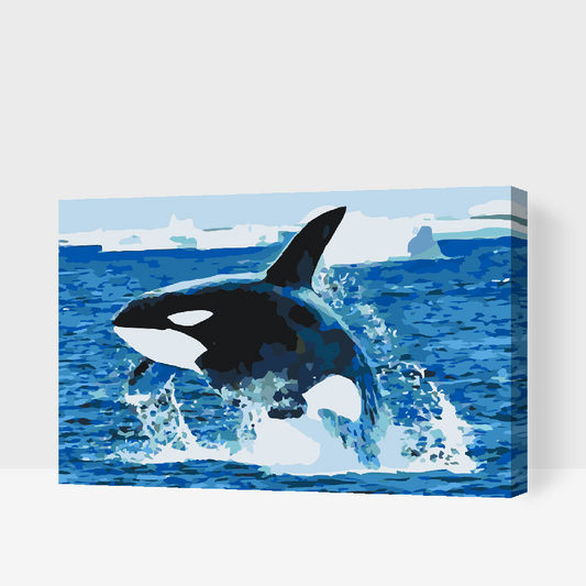 Paint by number - Orca Jump