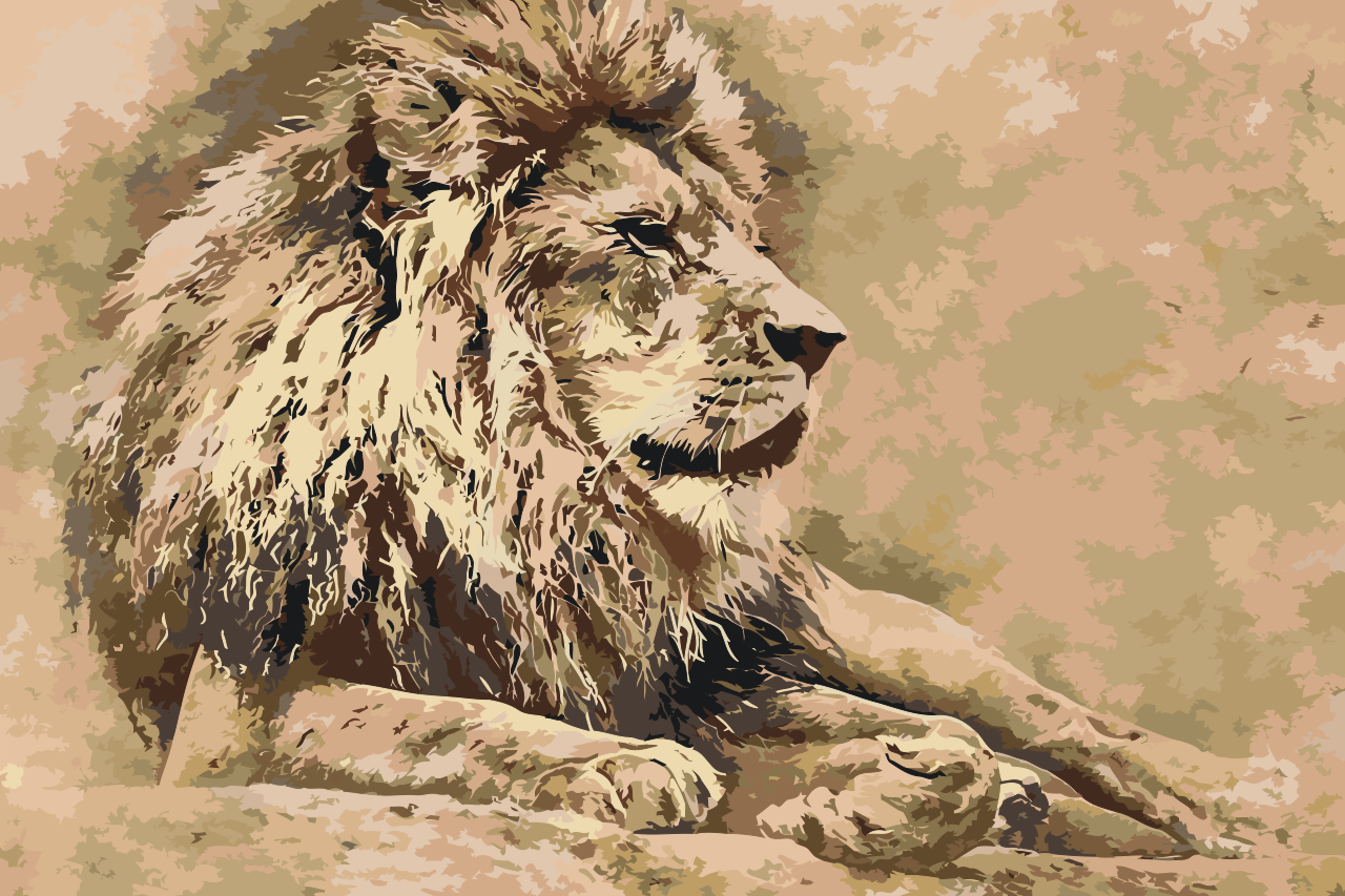 Paint by number - Lion 2