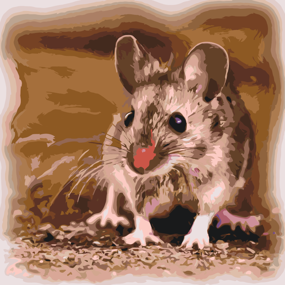 Paint by number - Lille Hamster