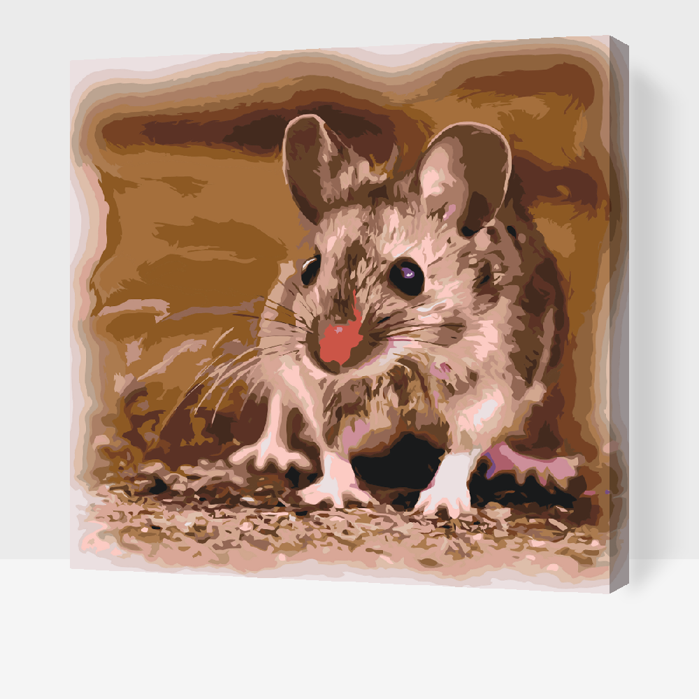 Paint by number - Lille Hamster