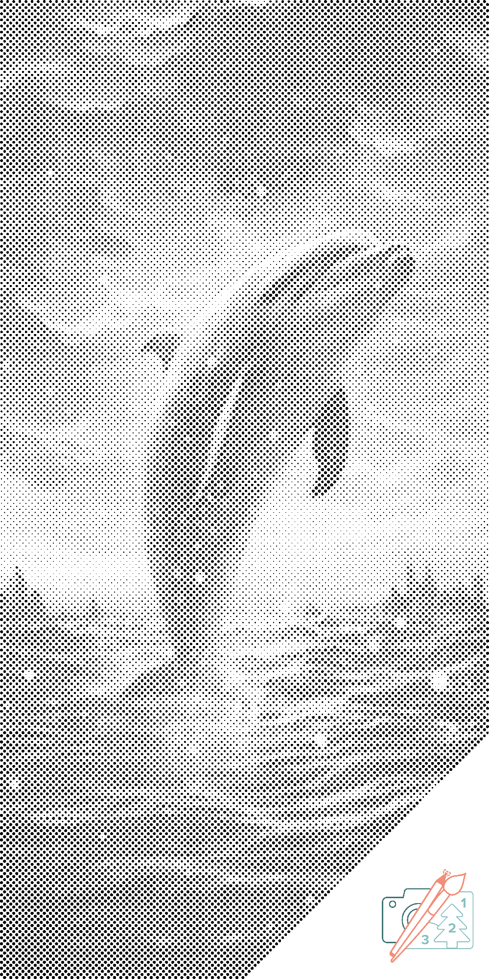 Dotting - Delfin ved solnedgang