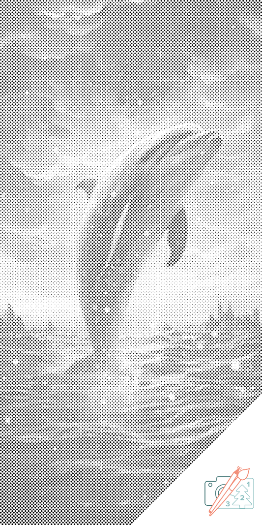 Dotting - Delfin ved solnedgang