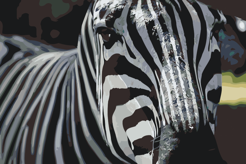 Paint by number - Fokuseret på Zebraen