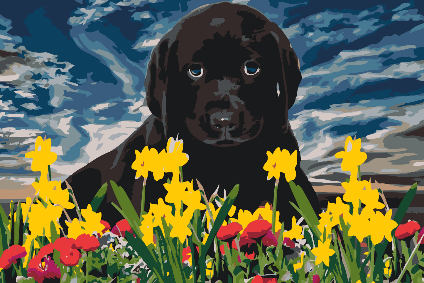 Paint by number - Labrador Puppy