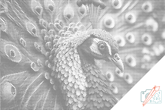 Dotting - Indsk påfugl