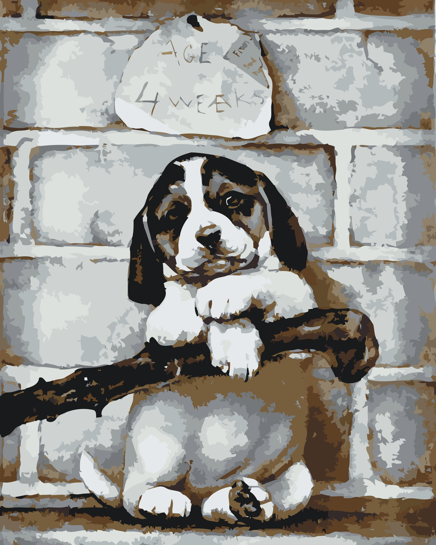 Paint by number - 4 uger gammel hvalp