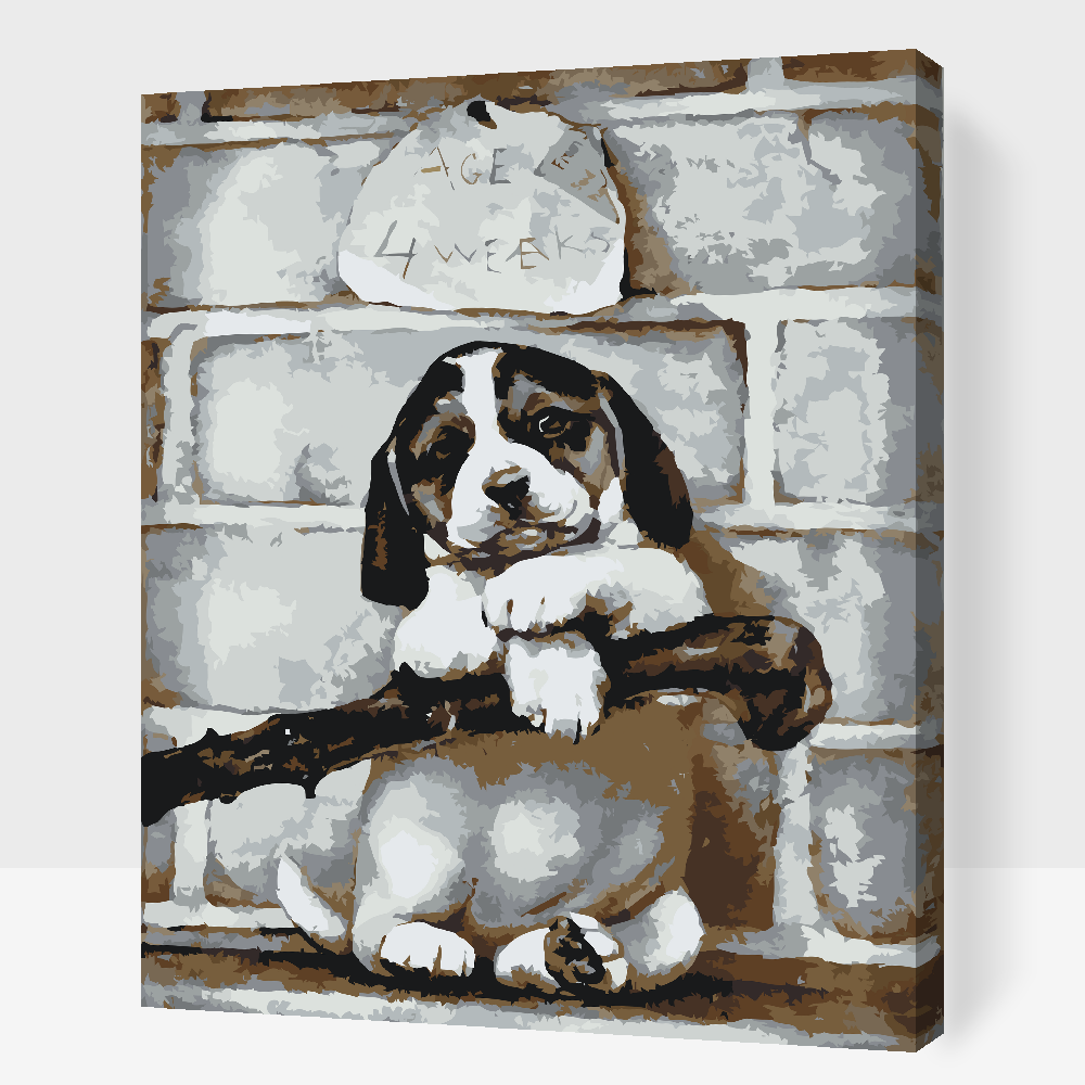 Paint by number - 4 uger gammel hvalp