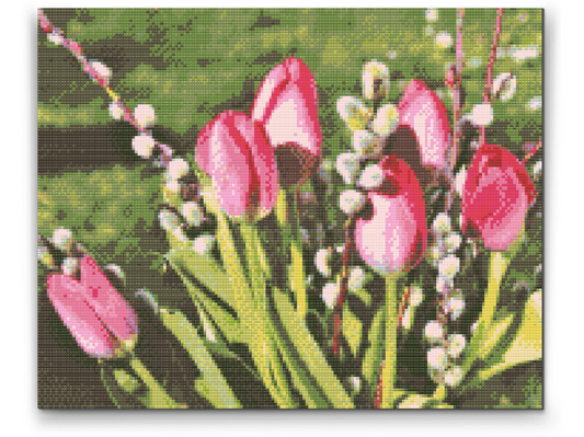 Diamond Paint - Tulipaner