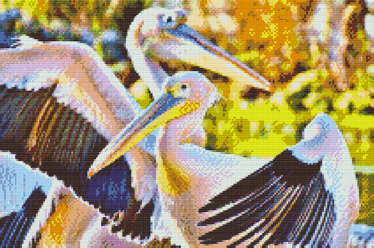 Diamond Paint - Pelikaner