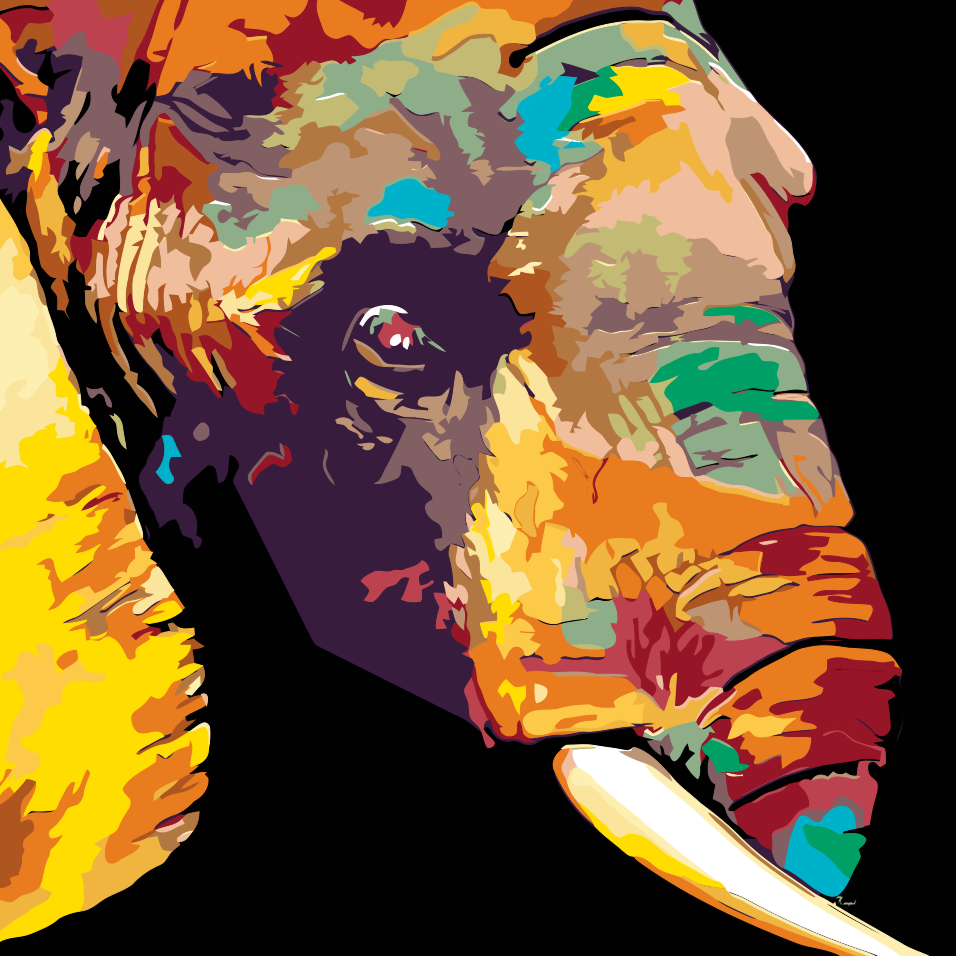 Paint by number - Farvet elefant