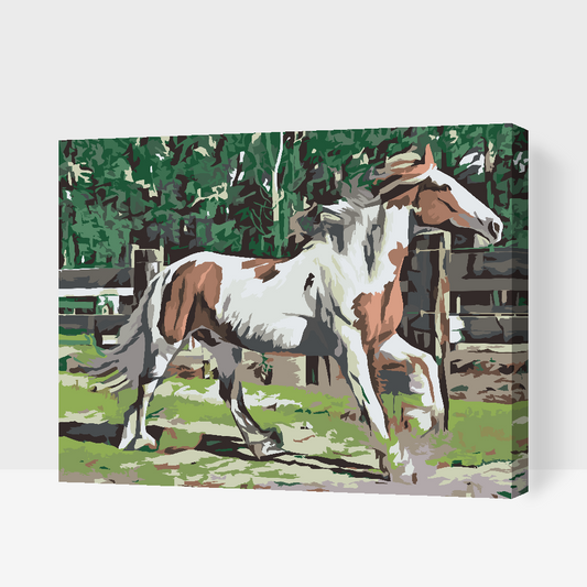 Paint by number - Hest i indhegningen