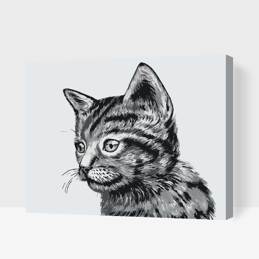 Paint by number - Sød sort-hvid killing