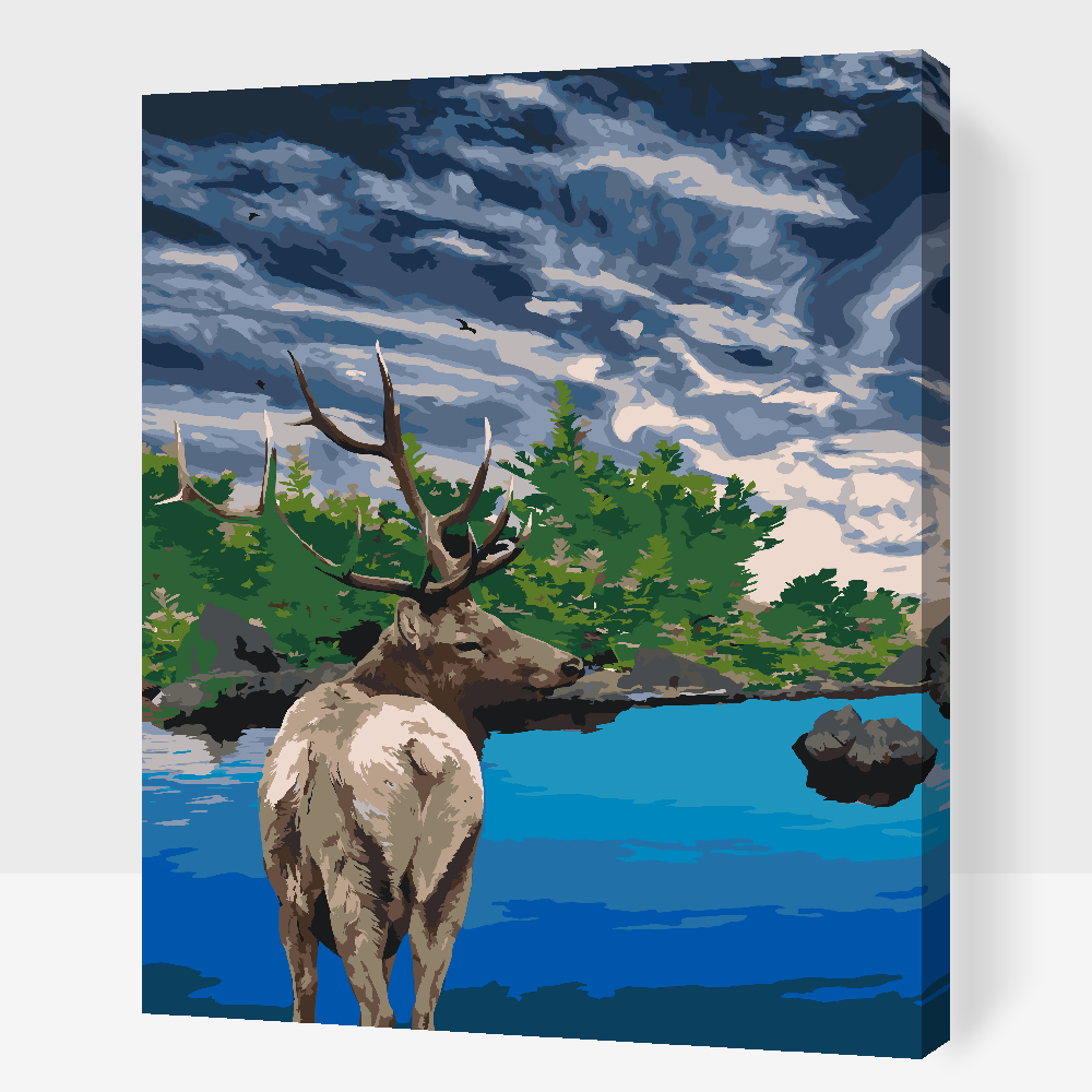 Paint by number - Deer by Lake