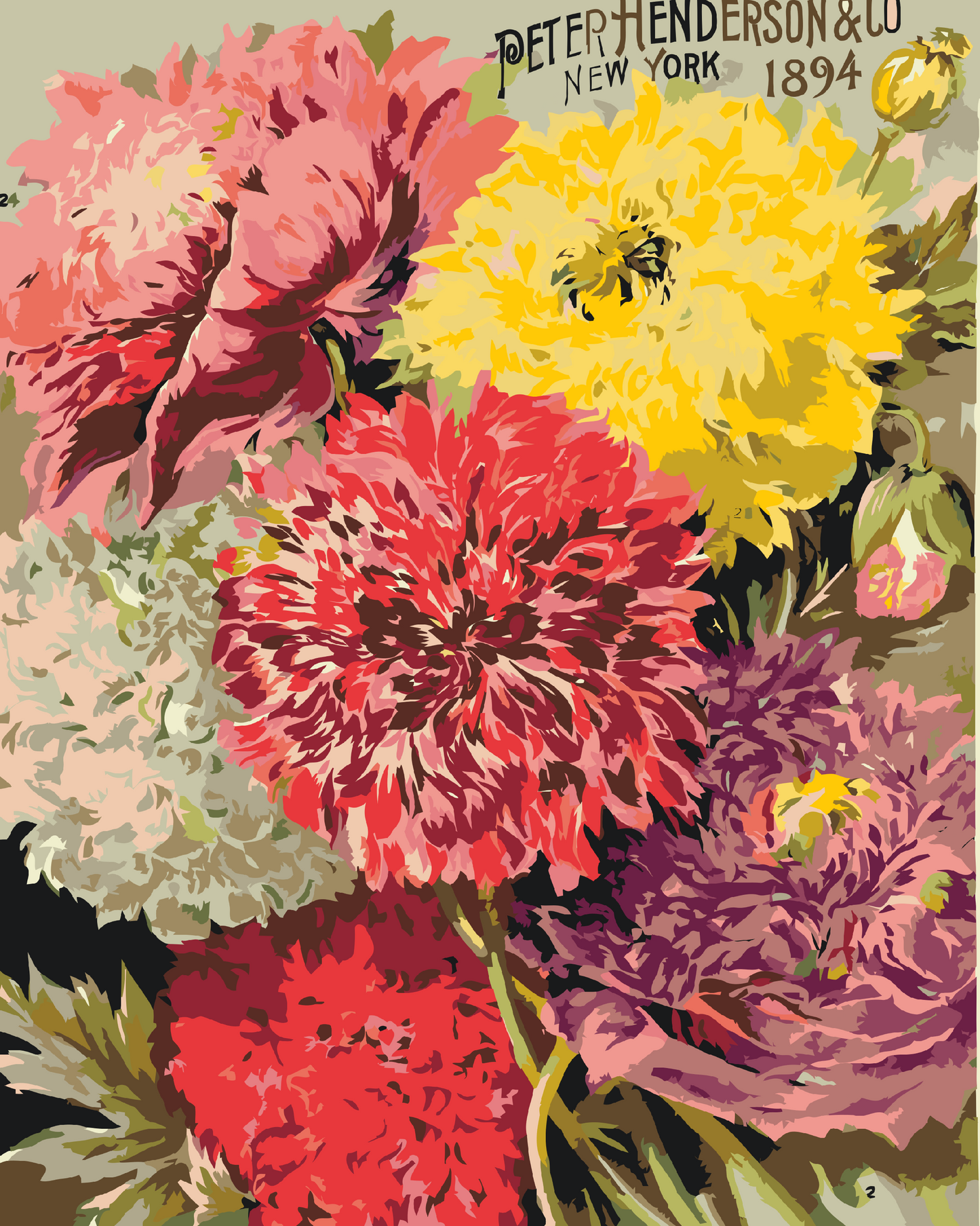 Paint by number - Retro farverige blomster