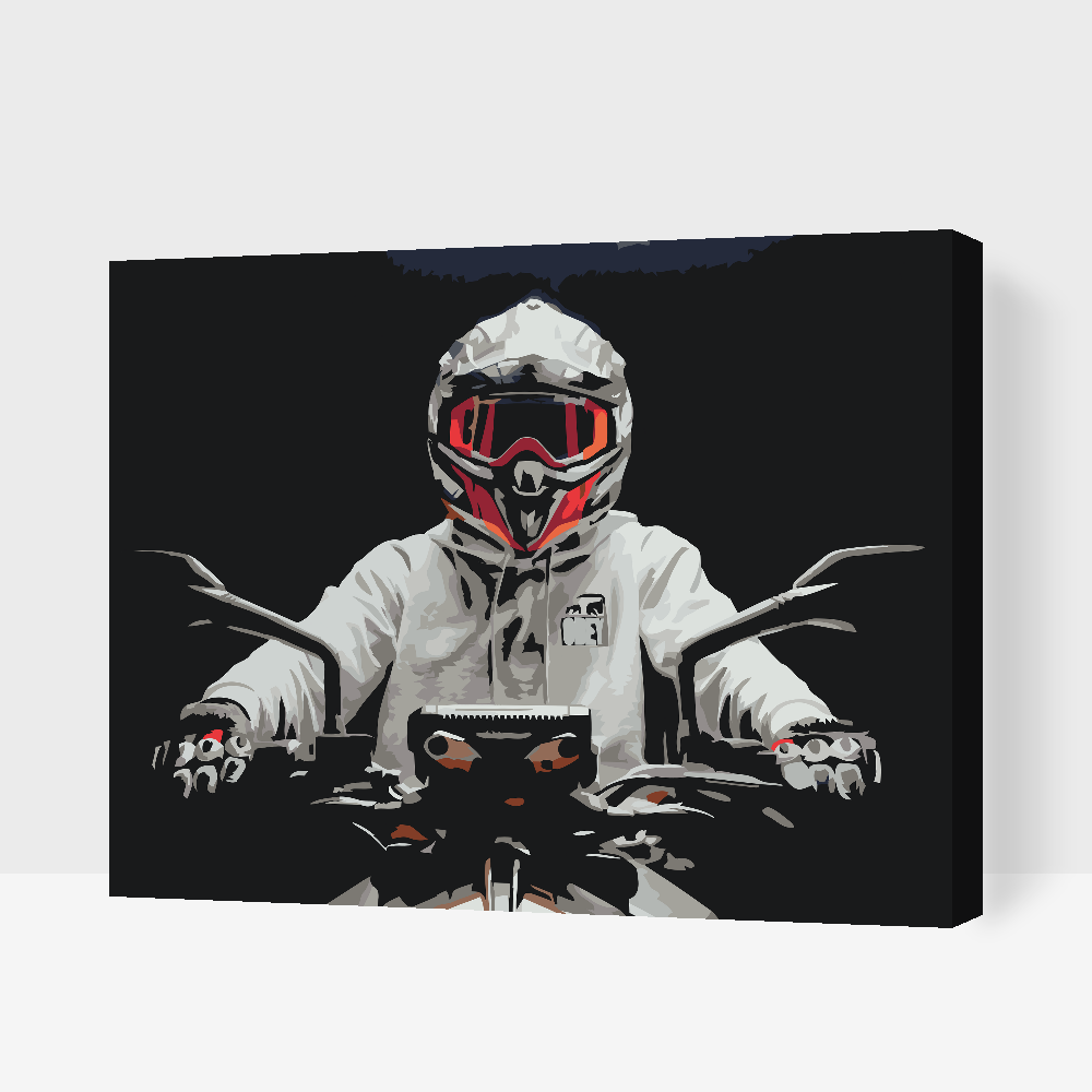 Paint by number - Biker