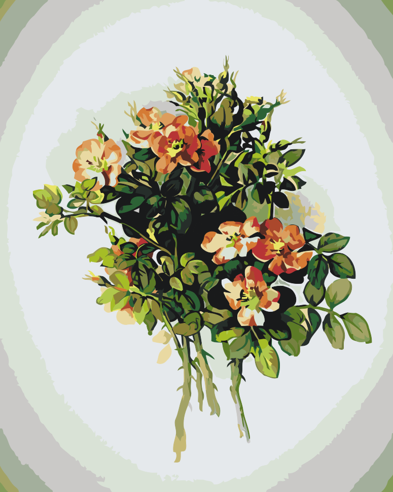 Paint by number - Vintage Flowers VII