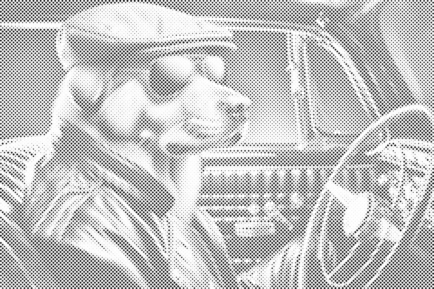Dotting - En hund i en sort cabriolet