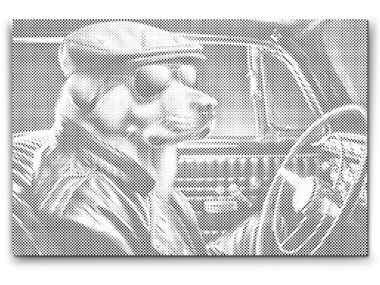 Dotting - En hund i en sort cabriolet