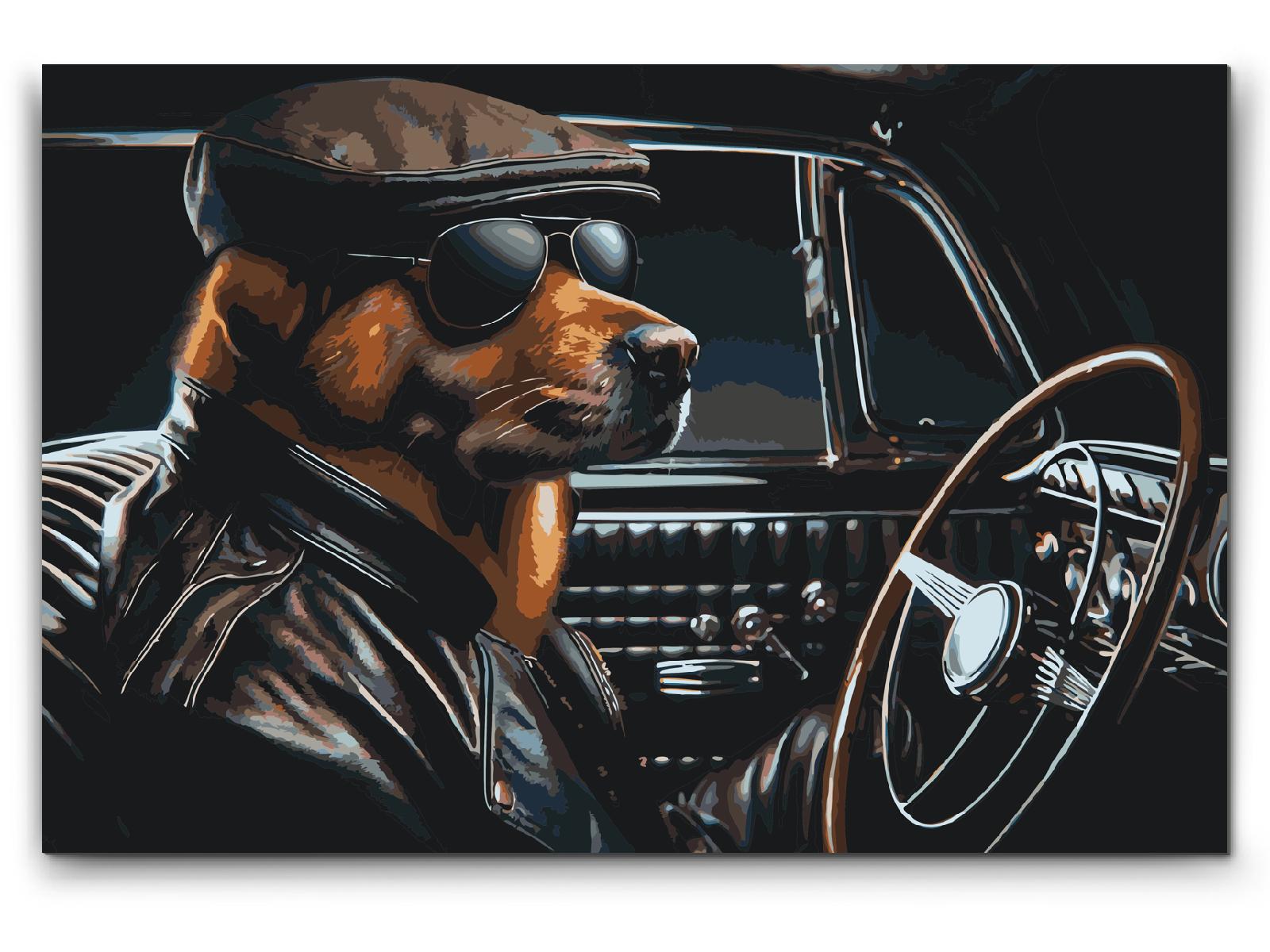 Paint by number - En hund i en sort cabriolet