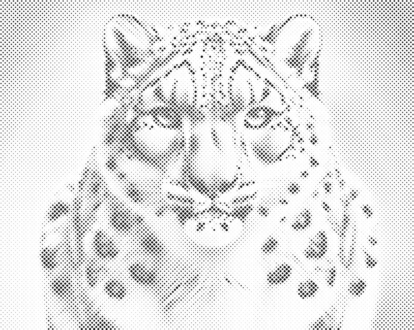 Dotting - Leopard