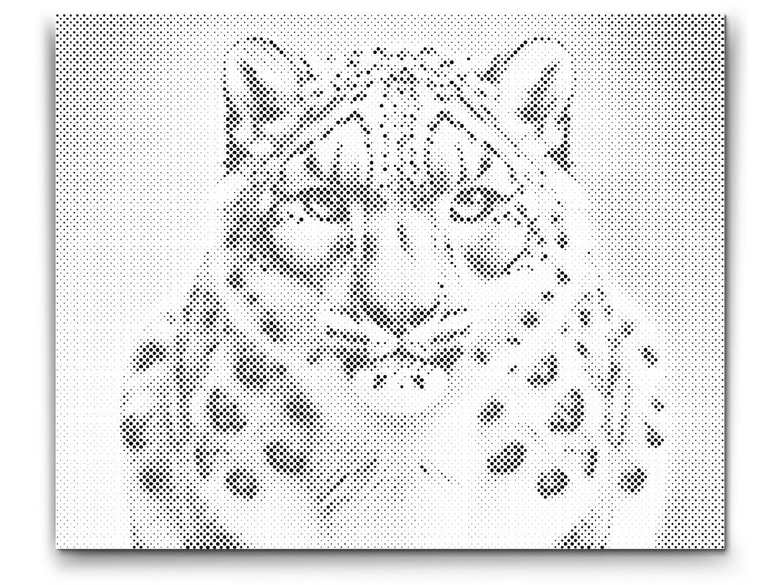 Dotting - Leopard