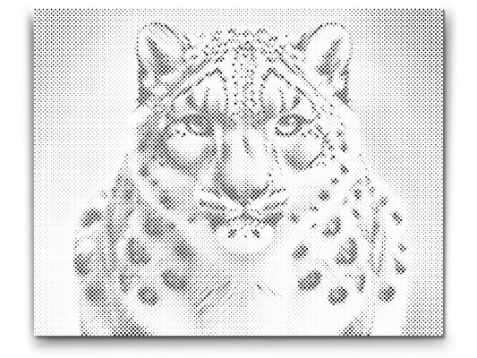 Dotting - Leopard