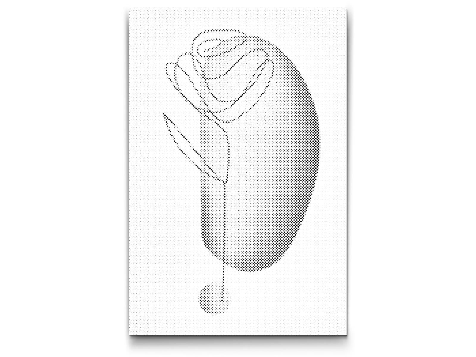 Dotting - Dekorativ rose