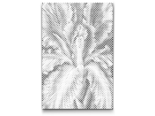 Dotting - Irisblomst