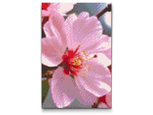 Diamond Paint - Kirsebærblomst