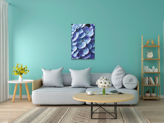 Paint by number - Hortensiablomst