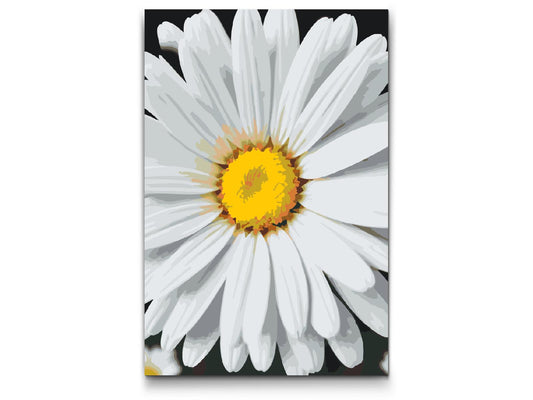 Paint by number - Margueritblomst