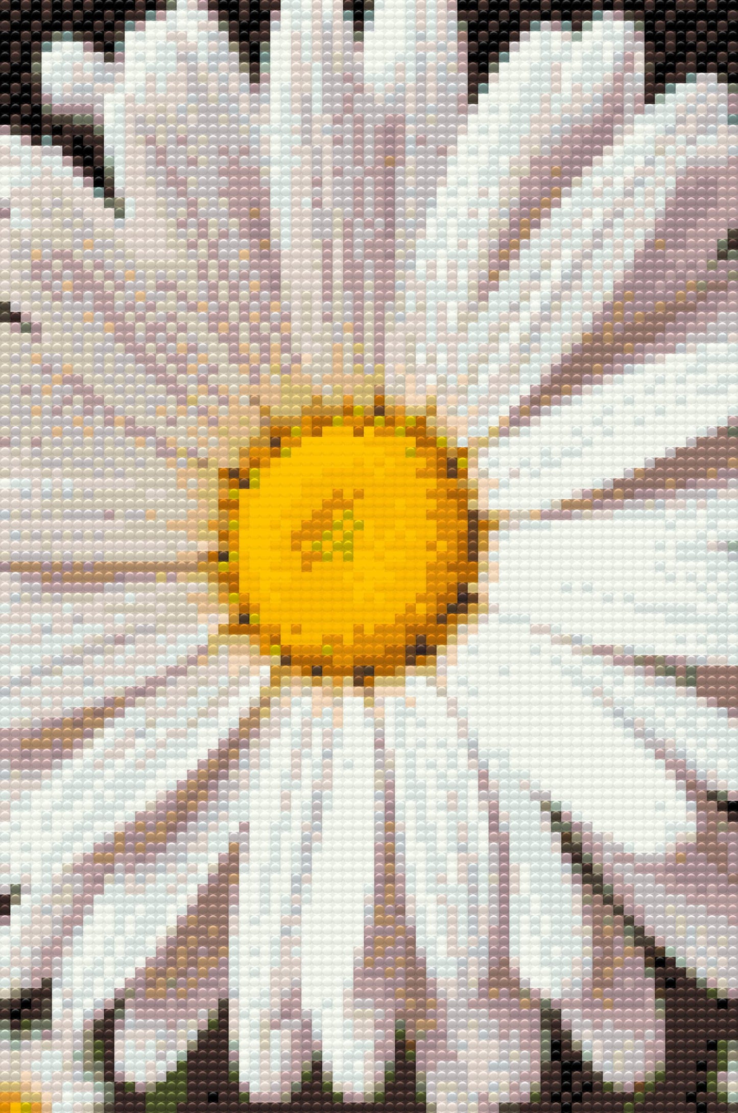 Diamond Paint - Margueritblomst