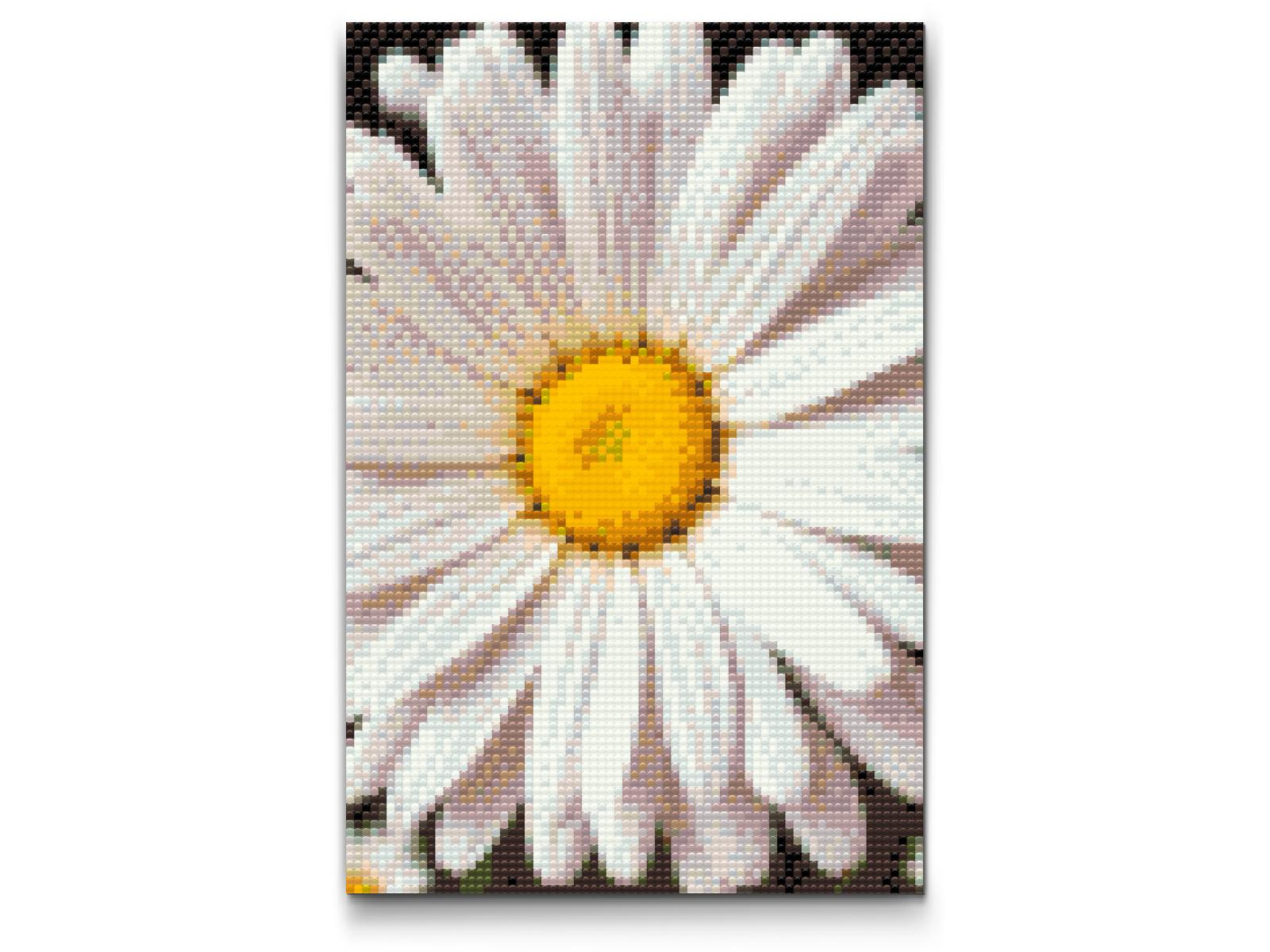 Diamond Paint - Margueritblomst