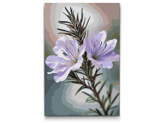 Paint by number - Rosmarinblomst