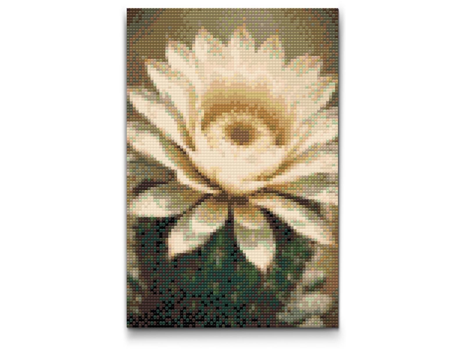 Diamond Paint - Kaktusblomst