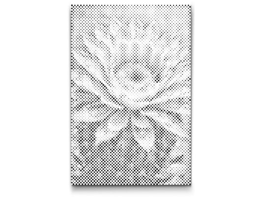 Dotting - Kaktusblomst