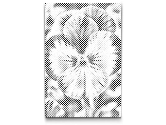 Dotting - Stedmoderblomst