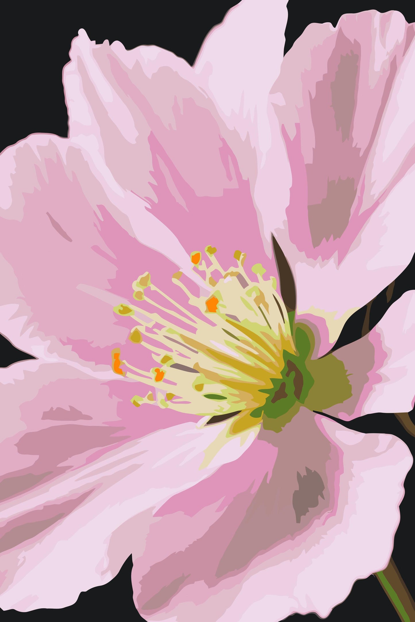 Paint by number - Muskatnødblomst