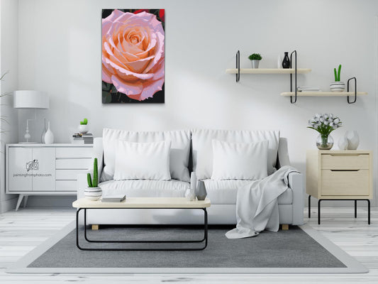 Paint by number - Roseblomst