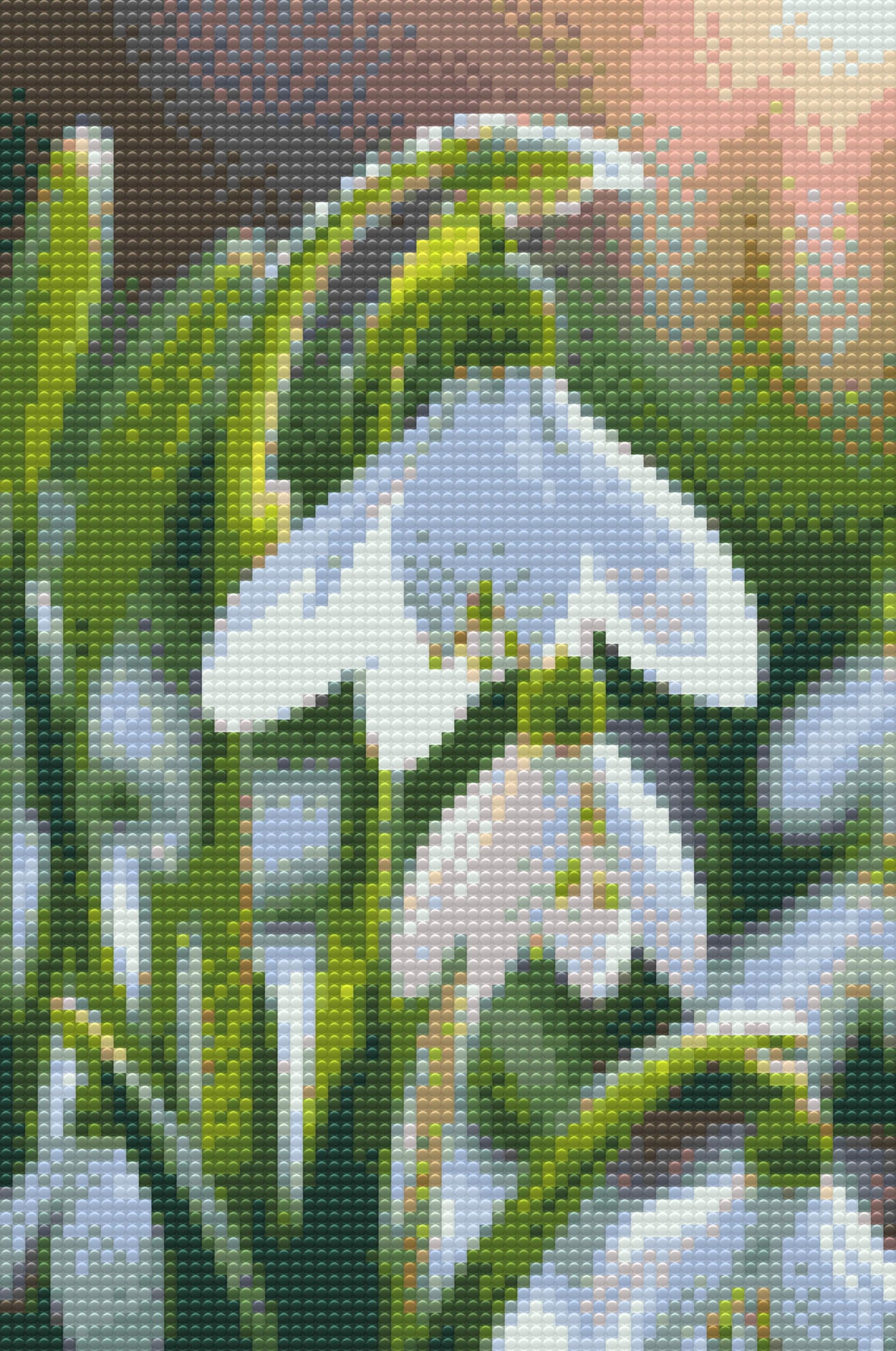 Diamond Paint - Vintergækblomst