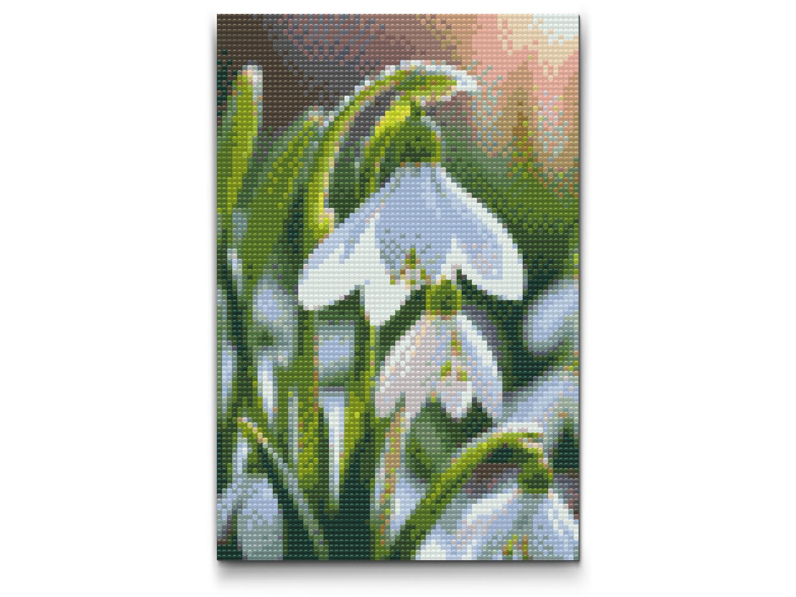Diamond Paint - Vintergækblomst