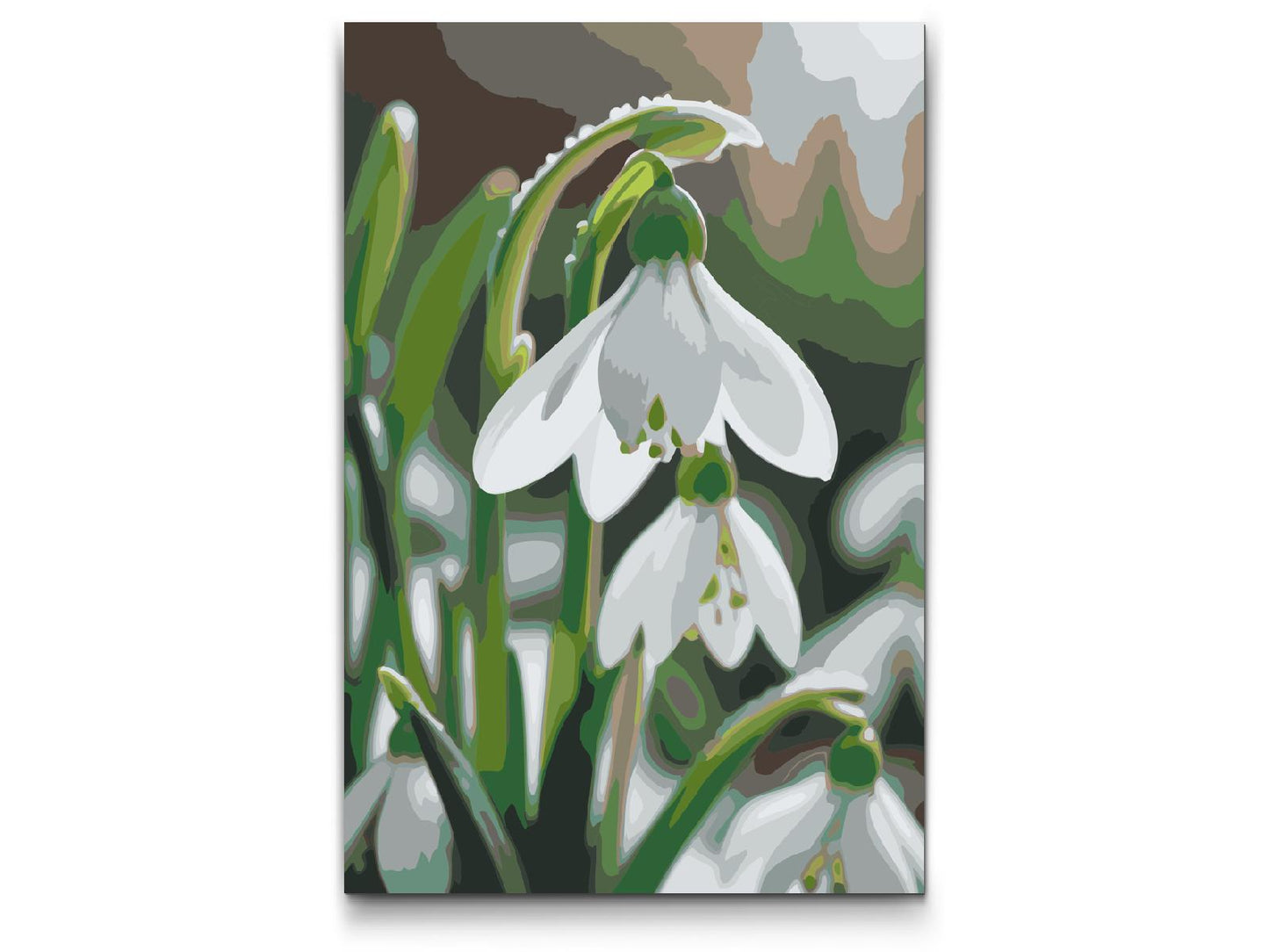 Paint by number - Vintergækblomst