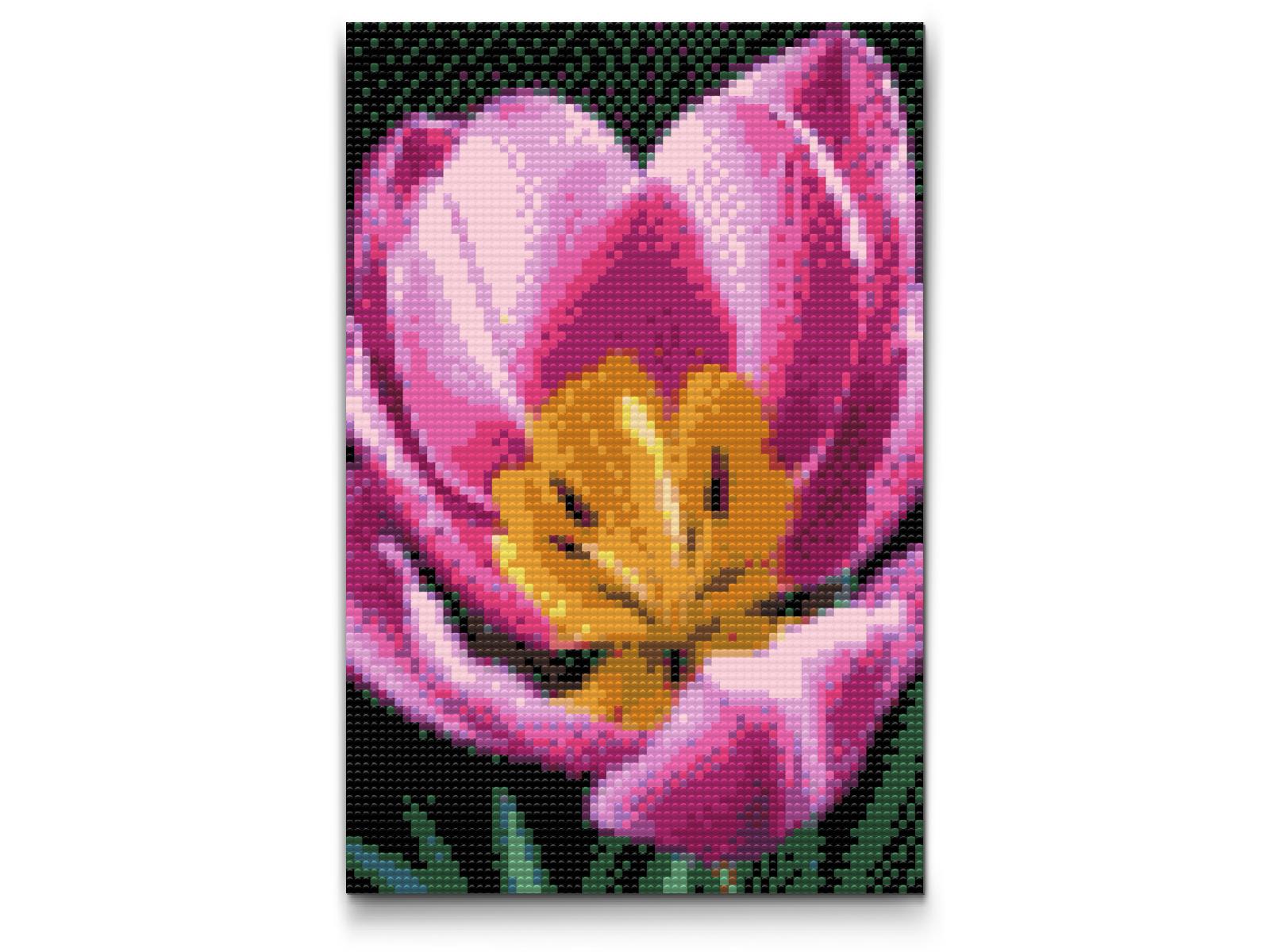 Diamond Paint - Tulipanblomst