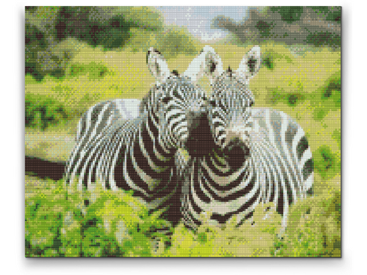 Diamond Paint - Safarizebraer