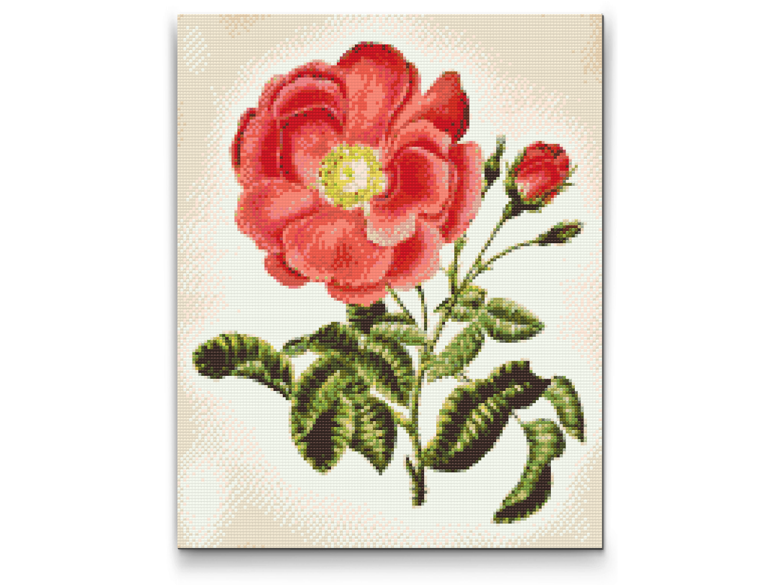 Diamond Paint - Vintage Rose