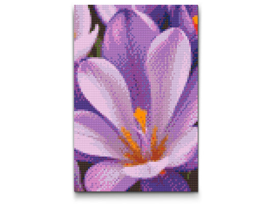 Diamond Paint - Krokusblomst