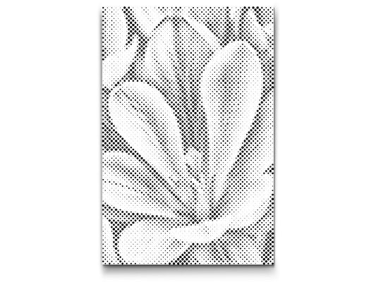 Dotting - Krokusblomst