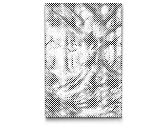 Dotting - Eventyrskov
