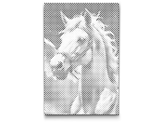 Dotting - Hvid Pegasus i skyerne